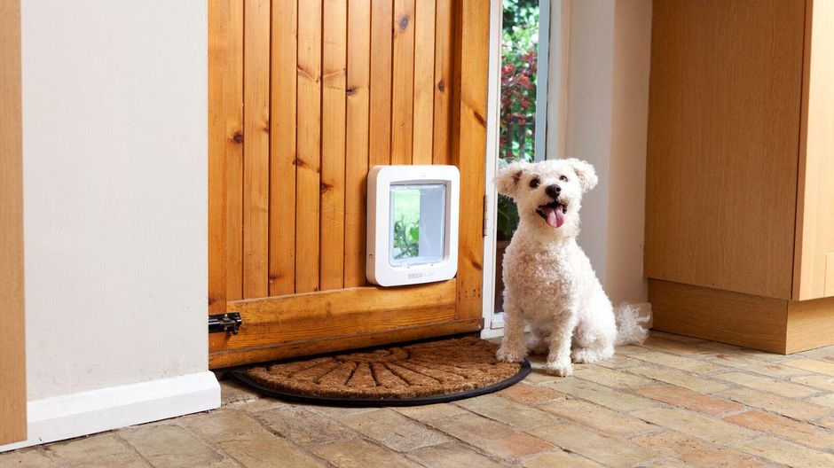 Ensure the comfort to your pet by installing best electronic pet doors